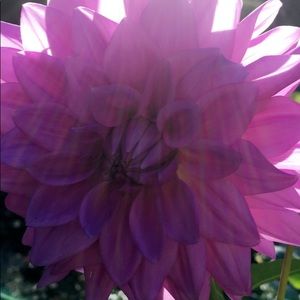 Meet your Posher, Kaity